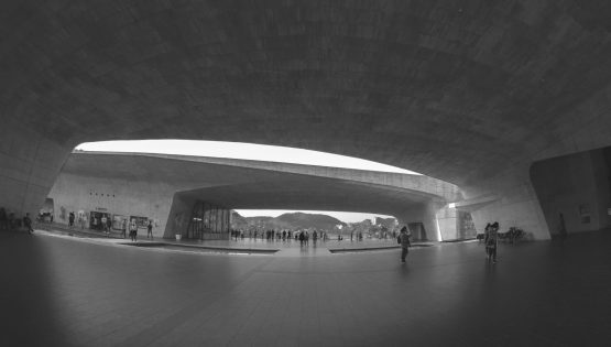 pexels-gabriel-peter-941272